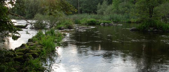 Blick auf den Helige å am Rastplatz nach dem Bergkvarasjö Blick auf den Helige å am Rastplatz nach dem Bergkvarasjö